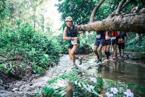 BIB: 
                            <button type="button" onclick="openModal(25445988)" class="btn btn-primary btn-sm float-right btn-popup" data-toggle="modal" data-target=".modal-high-quality">
                        <i class="fas fa-shopping-cart"></i> Add to Cart
                    </button>
                                            <button type="button" onclick="isThisMe(25445988, true)" class="btn btn-success btn-sm float-right btn-popup btn-isme hidden" data-toggle="tooltip" data-placement="bottom" title="นี่คือรูปของคุณใช่ไหม คลิกที่นี่เพื่อเอาเข้าอัลบั้ม">
                        <i class="fas fa-plus"></i> Add to album
                    </button>
                    <button type="button" onclick="isThisMe(25445988, false)" class="btn btn-warning btn-sm float-right btn-popup btn-isnotme hidden">
                        <i class="fas fa-ban"></i> Remove from album
                    </button>